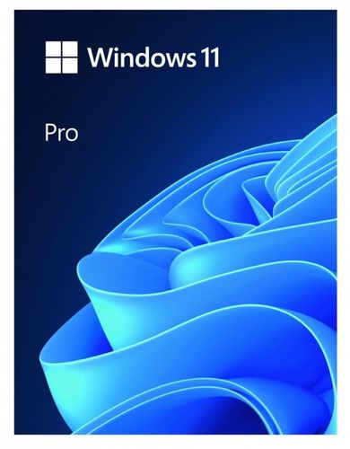 Program MICROSOFT Windows 11 Professional Box na Arena.pl