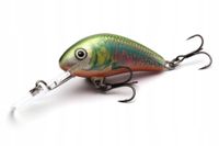 2 x WOBLER SALMO H6F HORNET FLOATING 6cm 10g OIKAWA