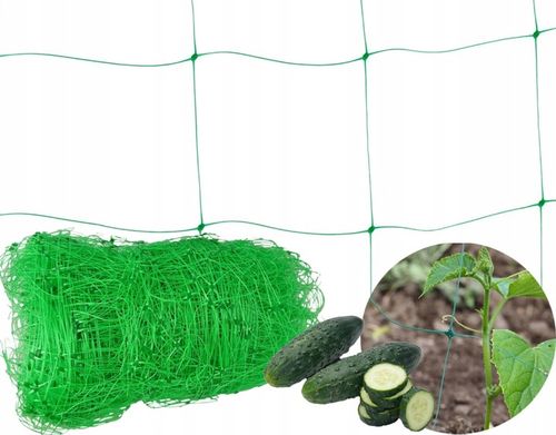 Siatka Podpora warzyw roślin pnących 2x10m 15x17cm AS-CN08151720010 na Arena.pl