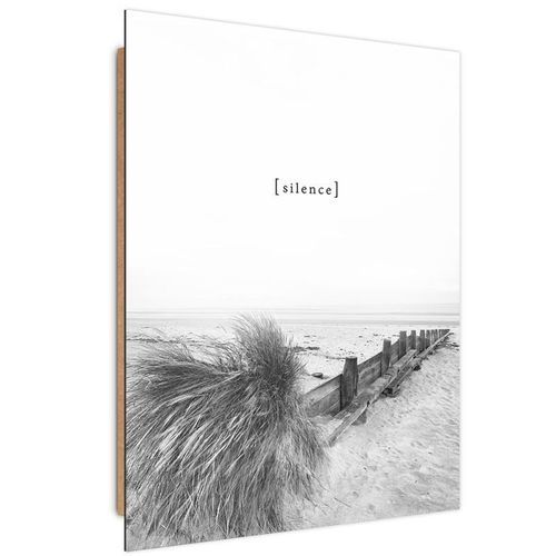 Deco Panel, Silence 40x50 na Arena.pl