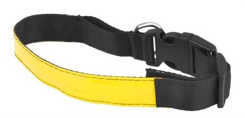 Obroża LED żółta - M na Arena.pl