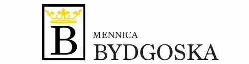 KOLCZYKI KOTKI 925 WISZĄCE KOŁA DLA DZIEWCZYNKI na Arena.pl