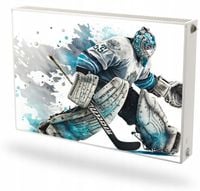 Mata magnetyczna magnes na grzejnik kaloryfer na wymiar HOKEISTA 60x80 cm