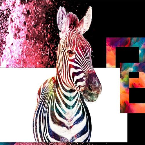 Deco Panel, Kolorowa zebra 1 90x60 na Arena.pl