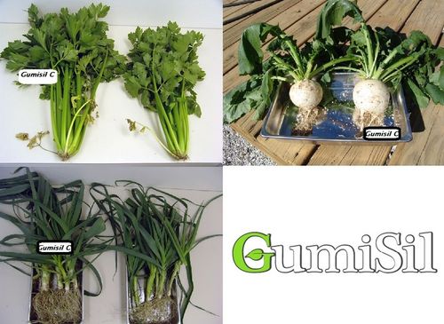 STYMULATOR DO WARZYW GUMISIL TRICHODERMA ROZSADY! EKO NAWÓZ BIOLOGICZNY TOP na Arena.pl