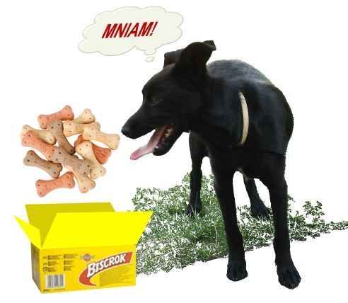PEDIGREE Biscrok 500g na Arena.pl