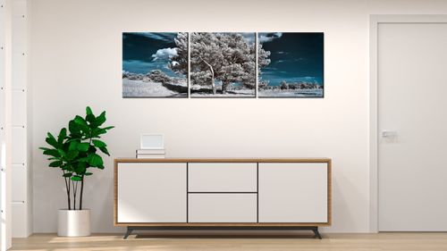 Obraz Tryptyk 150X50 Silne Drzewa na Arena.pl