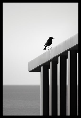 Plakat 30x45cm Samotna Odchłań na Arena.pl