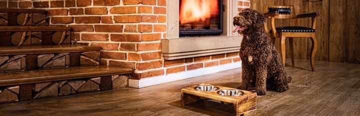 MISKI NA STOJAKU dla psa DUŻEGO STOJAK DREWNIANY bufet 2x 1,8 L + treserki zdjęcie 6