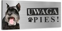 Tabliczka UWAGA ZŁY PIES - SZNAUCER MINIATUROWY