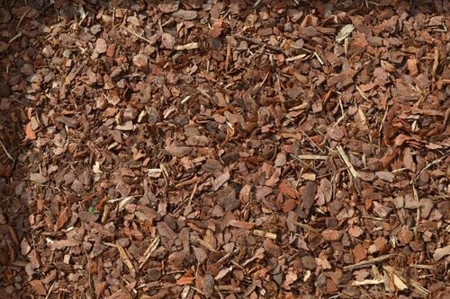 Kora Sosnowa Drobna 80L ściółka naturalna do ogrodu ochrona roślin na Arena.pl