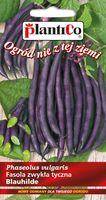 NASIONA Fasola Szparagowa Tyczna Blauhilde 10g PLANTICO Fioletowa 407947