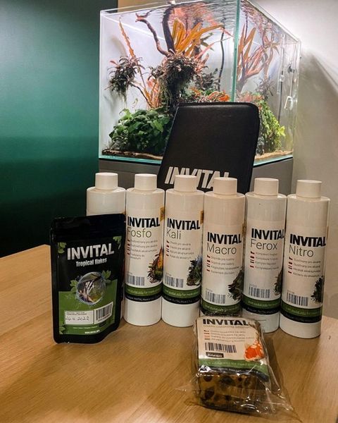 INVITAL Ferox 500 ml zdjęcie 9