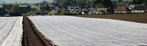 Agrowłóknina BIAŁA 1,6x50m ZIMOWA-WIOSENNA otulina 17g okryciowa na Arena.pl