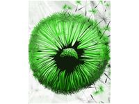 product-compare-58645650