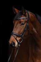 product-compare-58669284