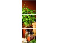 90X30CM PRZYPRAWY ZIOŁOWE TRÓJ OBRAZ DRUK