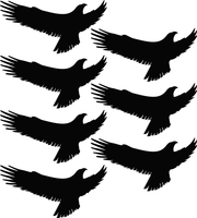 Zestaw NAKLEJKI ODSTRASZAJĄCE PTAKI na szybę 7szt. 25 cm