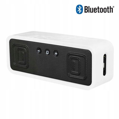 Głośnik + mikrofon bluetooth Arctic S113BT Biały na Arena.pl