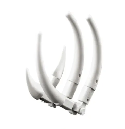 LEGO Creator 3 w 1 - Potężne dinozaury (31058) na Arena.pl