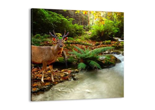 Obraz Na Płótnie - Jeleń Potok Park - 40X40 Cm - Ac40X40-2243 na Arena.pl