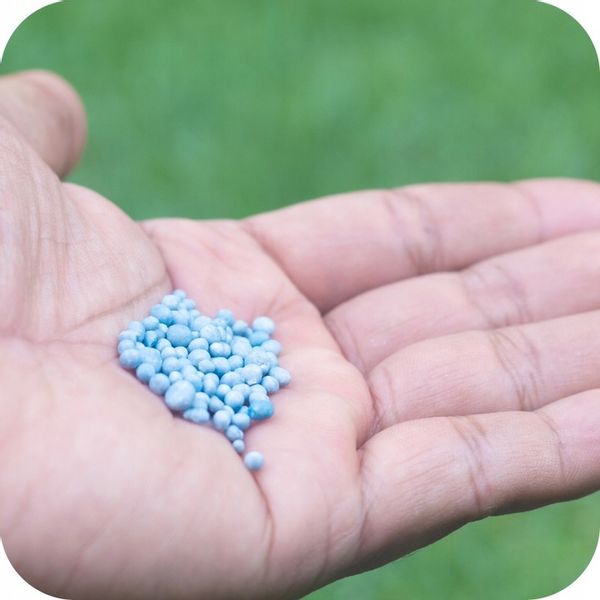 NAWÓZ DO TRAWY COMPLEX 25KG TRAWNIKA TRAWNIKÓW ROSAFERT NPK 12-12-17 zdjęcie 15