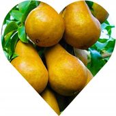 GRUSZA KONFERENCJA Grusza, pod którą planowało się życie. I wagary.