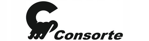 SZELKI BEZPIECZEŃSTWA,PASY BHP DWA ZACZEPY CONSORTE GRASSHOPPER na Arena.pl