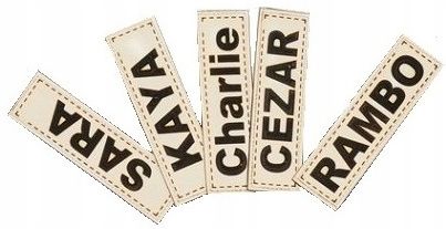 LEGOWISKO dla PSA 130x105 WODOODPORNE POSŁANIE PERSONALIZOWANE z IMIENIEM zdjęcie 6