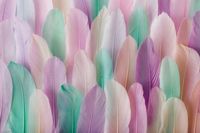 FOTOTAPETA PIÓRA PIÓRO do Salonu Sypialni 260x180