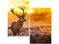 60X60CM JELEŃ DWU OBRAZ ŚCIAN