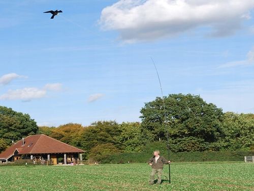 Odstraszacz Szpaków Gołębi Mew Ptaków Latawiec CH1 z masztem 7 metrów na Arena.pl