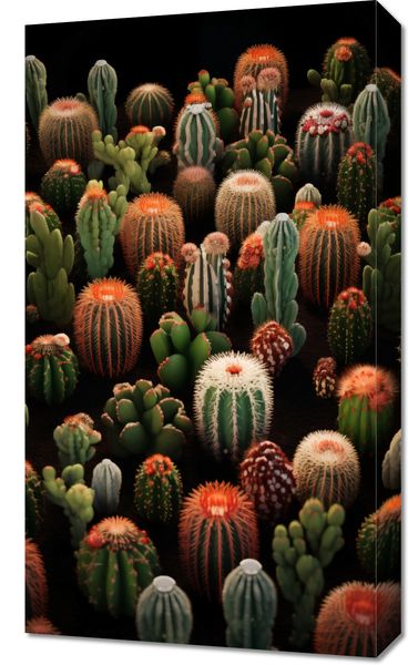 Obraz 40x70cm Ogród Kaktusów zdjęcie 1