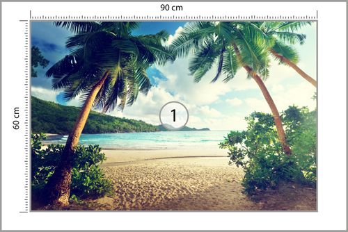 Fototapeta Palmy Na Seszelach Flizelina 360x240 na Arena.pl
