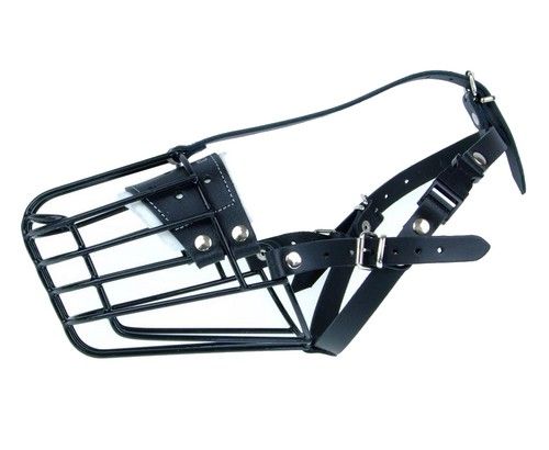 Champion Kaganiec metalowy fizjologiczny FIZ-2 (28/12) na Arena.pl