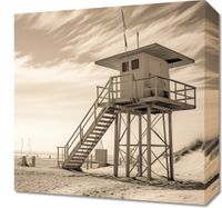 Obraz 40x40cm Strażnik Wydm