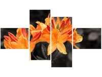 140CM 70 OBRAZ SOCZYSTA AZALIA ŚCIENNY