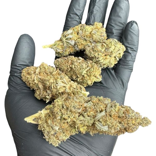 Jack Herer Susz Konopny CBD <20% 5g zdjęcie 7