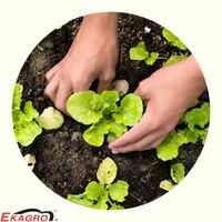 product-compare-58603963