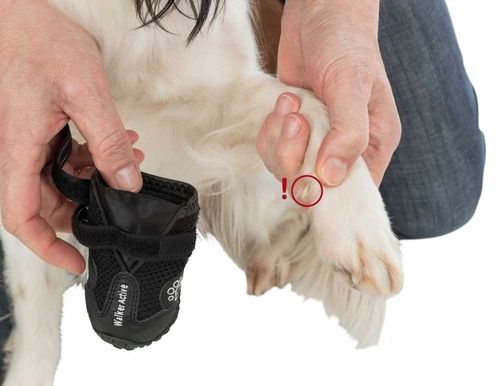 Trixie BUTY OCHRONNE Walker Active dla Psa L 2szt na Arena.pl