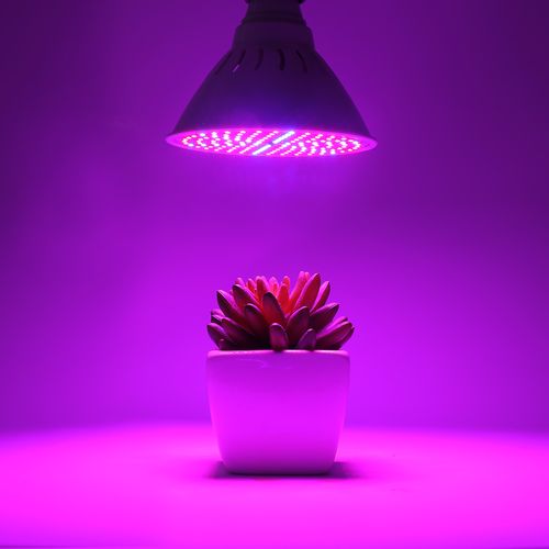 DUŻA ŻARÓWKA LED E27 GROW 126 led 15W DO ROŚLIN na Arena.pl