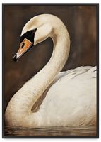 Plakat biały łabędź obraz 61x91 cm w czarnej ramie