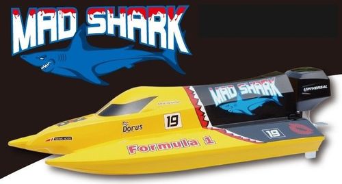 Mad Shark 2CH 2.4GHz RTR na Arena.pl