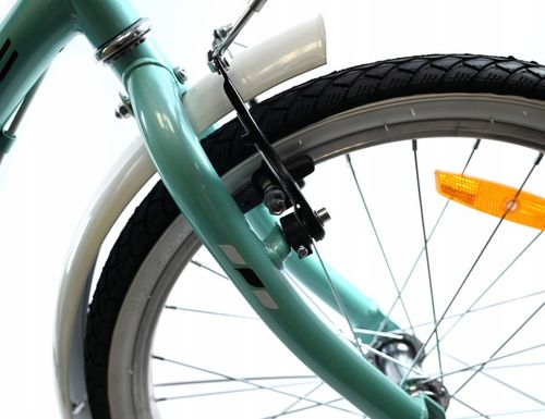 ROWER DLA DZIEWCZYNKI 20 CALI ROWEREK DZIECIĘCY MIĘTOWY BŁOTNIKI ODBLASKI na Arena.pl