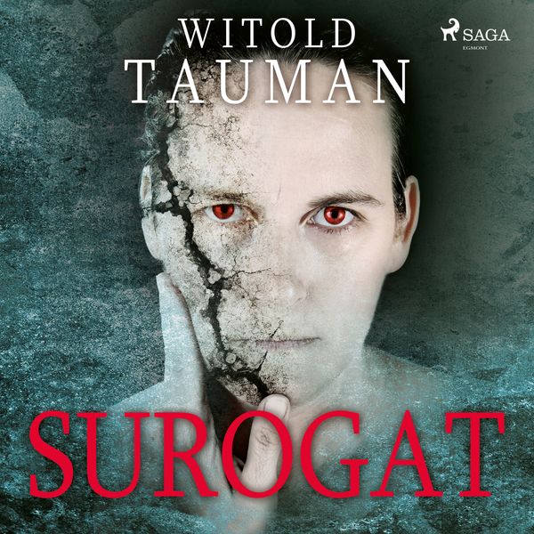 (mp3) Surogat zdjęcie 1
