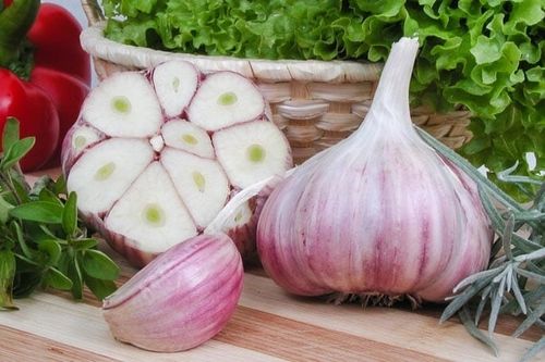 Czosnek zimowy Harnaś kwalifikat polski 1kg JAKOŚĆ EKOLOGICZNY DUŻE na Arena.pl