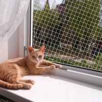 SIATKA OCHRONNA DLA KOTÓW 6x3m NA OKNA I BALKON TRWAŁA I BEZPIECZNA OCHRONA