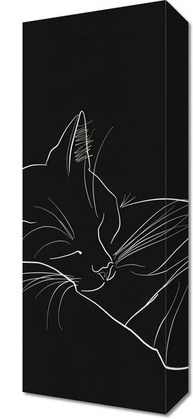 Obraz 20x50cm Nocny Spokój zdjęcie 1