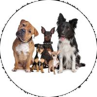 Opłatek na tort Psy Pieski Rasowe Piesek