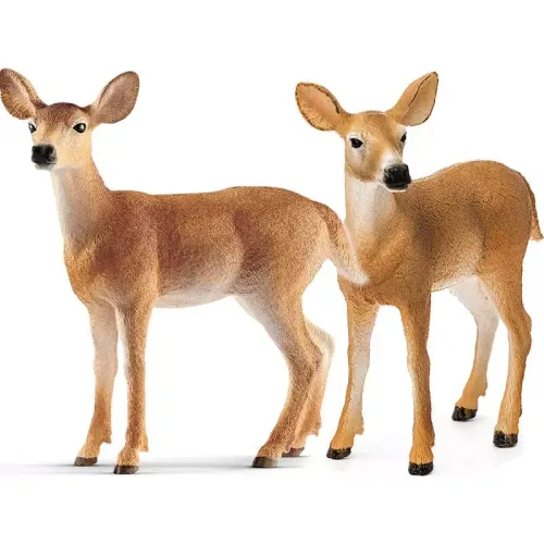 Wild Life. SLH14819. Mulak białoogonowy na Arena.pl